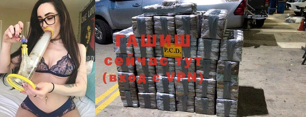 индика Новозыбков